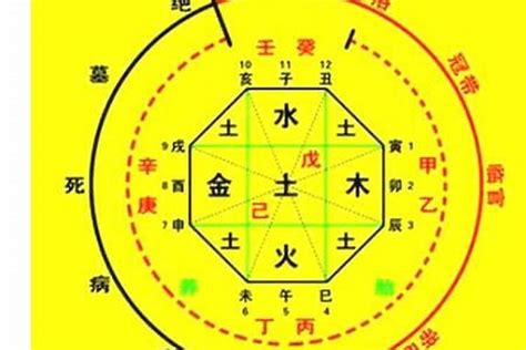 運盤|生辰八字算命、五行喜用神查詢（免費測算）